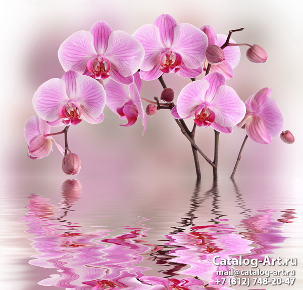 Pink orchids 106